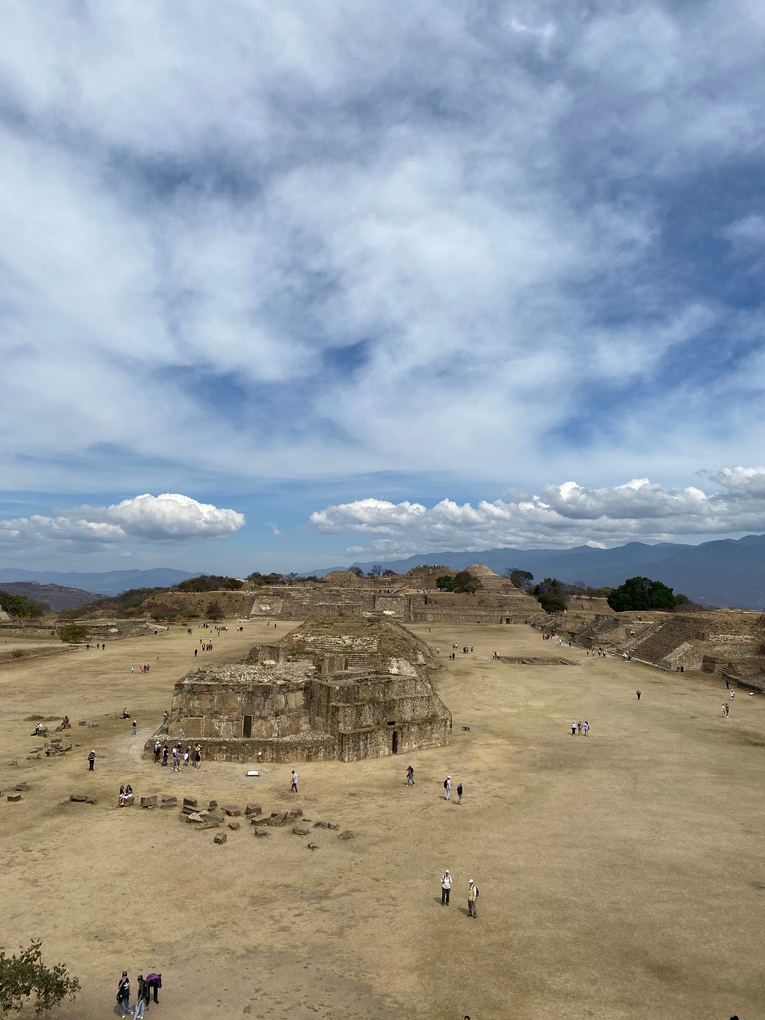 Tour Mezcal con Monte Albán