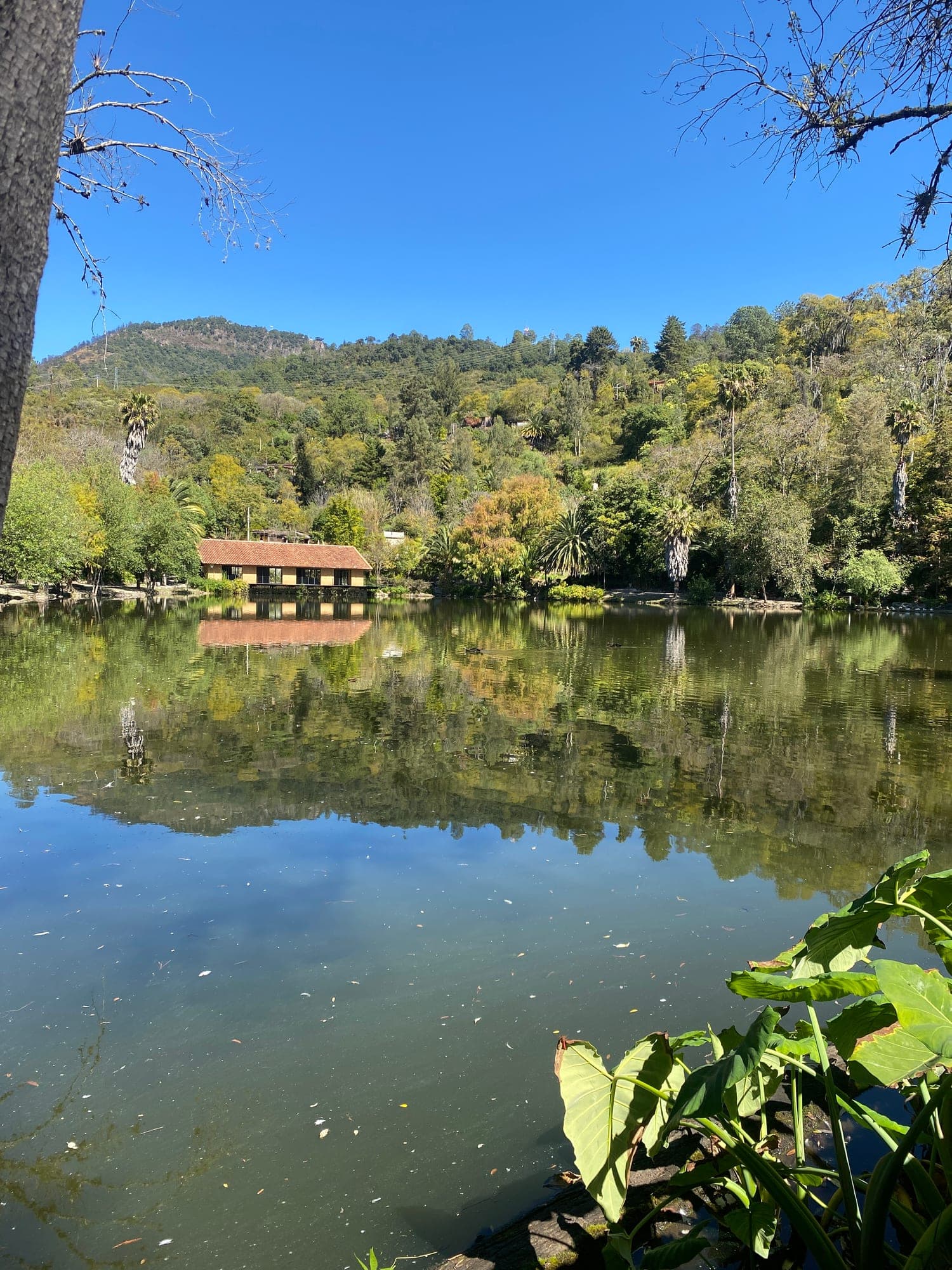 Sierra Norte