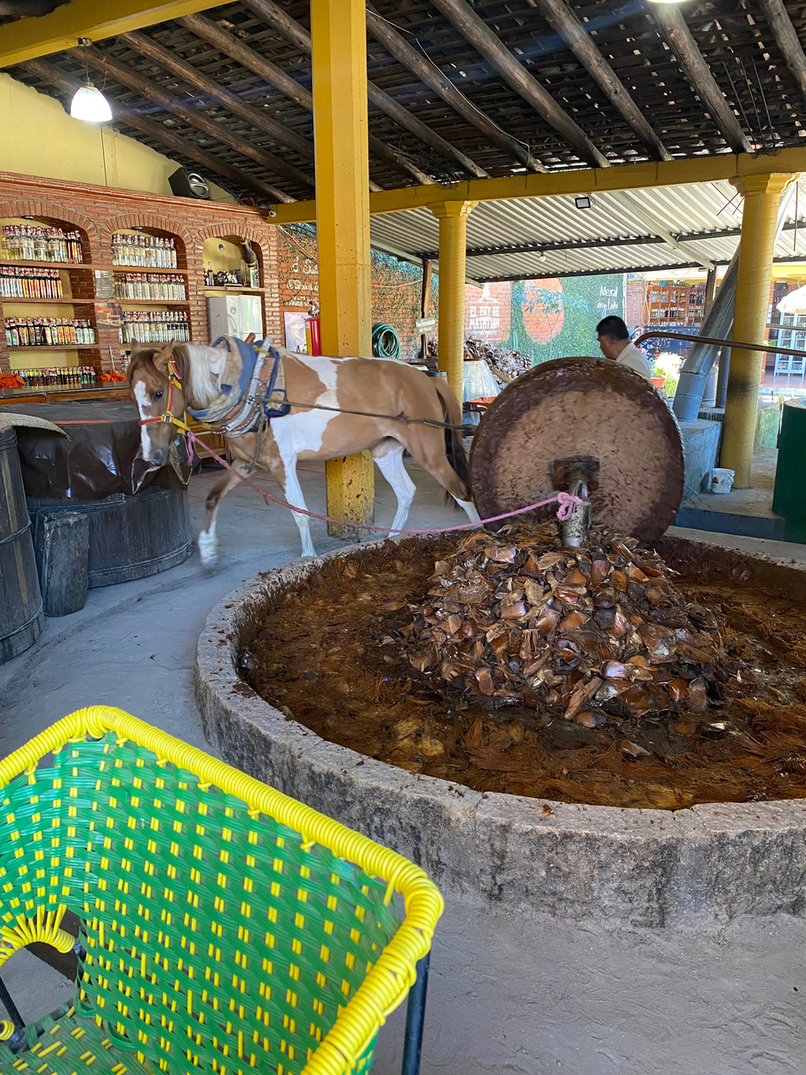 Tour Mezcal con Hierve el Agua · 5