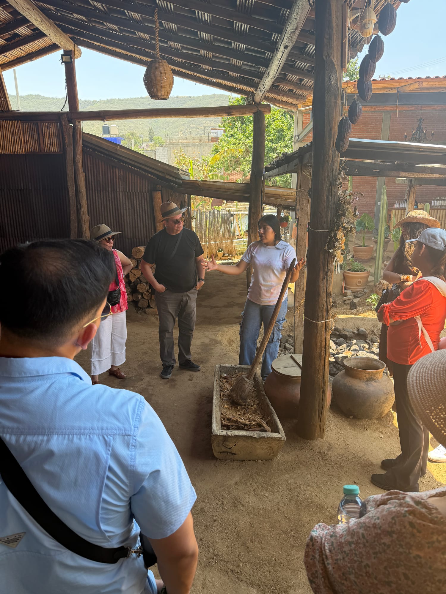 Tour Mezcal con Monte Albán · 1
