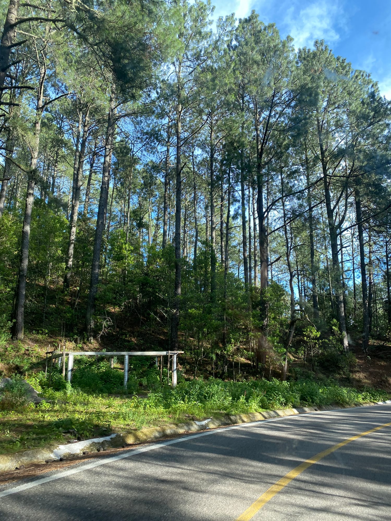 Sierra Norte · 1